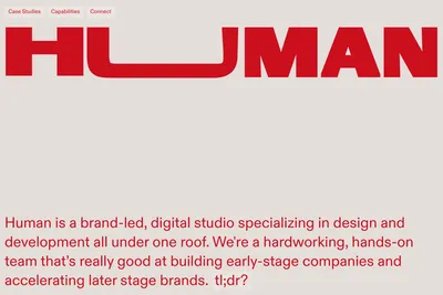 Screenshot of the Human NYC, LLC. homepage