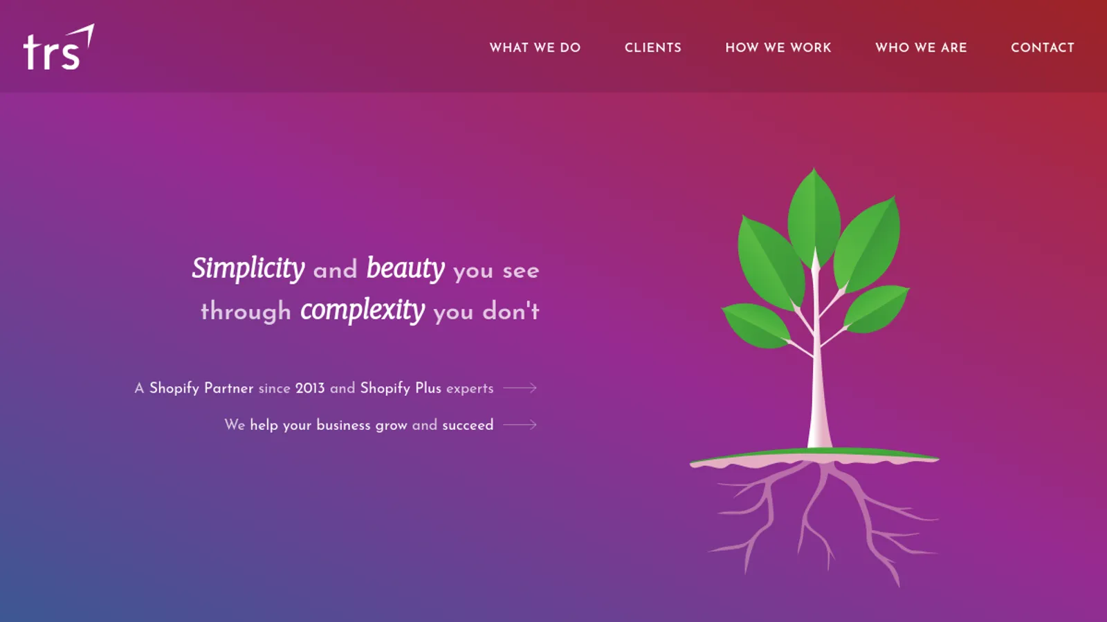 Screenshot of the TRS Agency homepage
