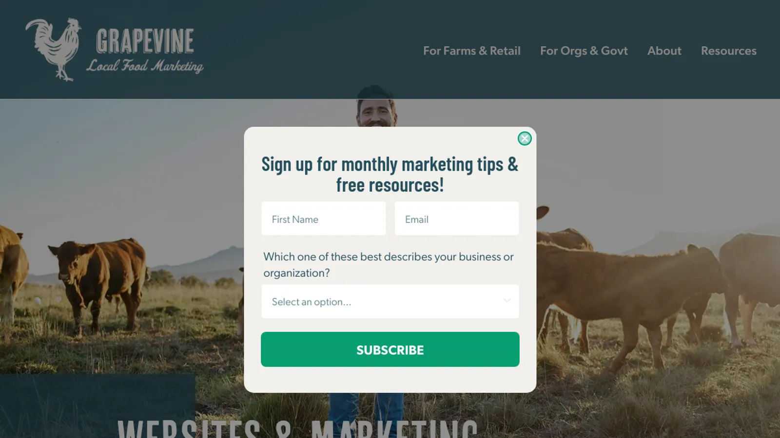 Screenshot of the Grapevine Local Food Marketing homepage