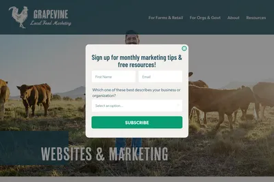 Screenshot of the Grapevine Local Food Marketing homepage