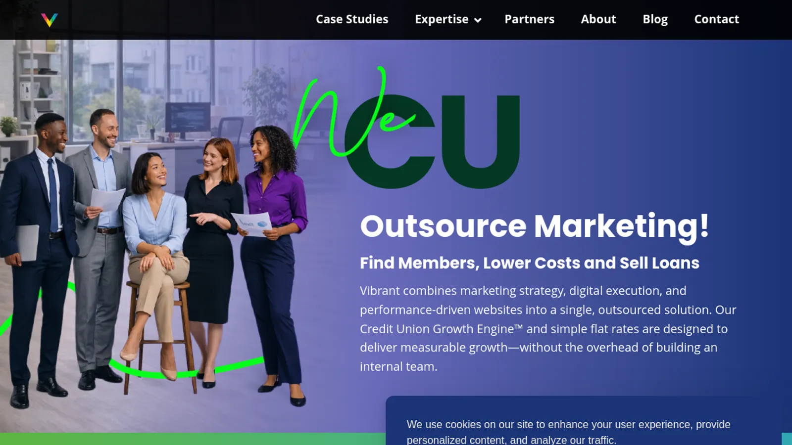 Screenshot of the Vibrant Brands homepage
