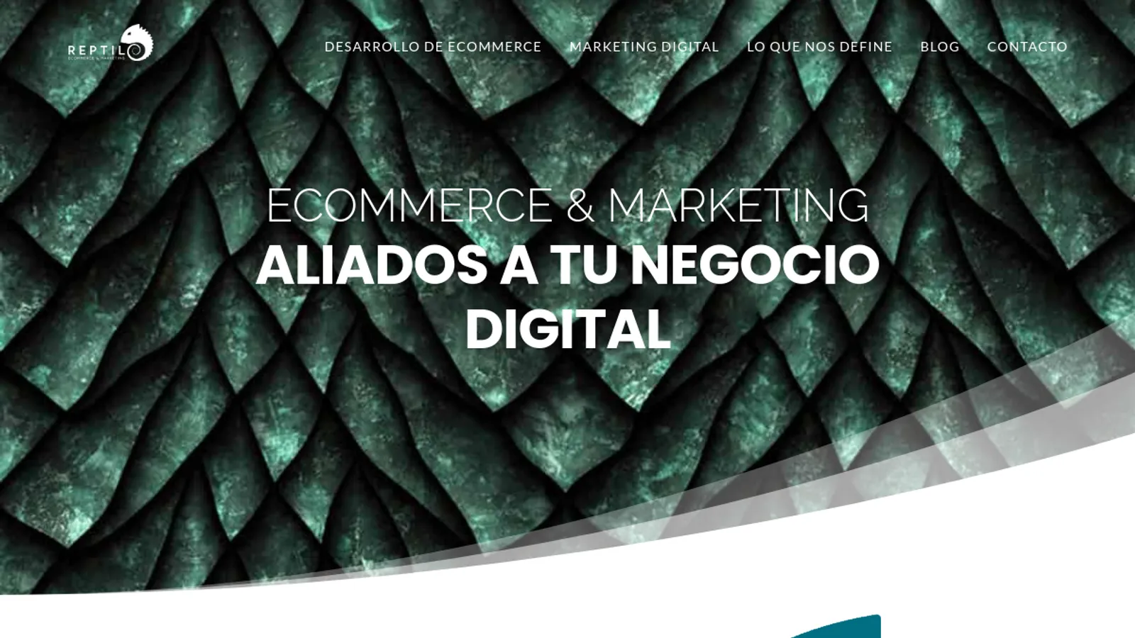 Screenshot of the Reptil Ecommerce homepage