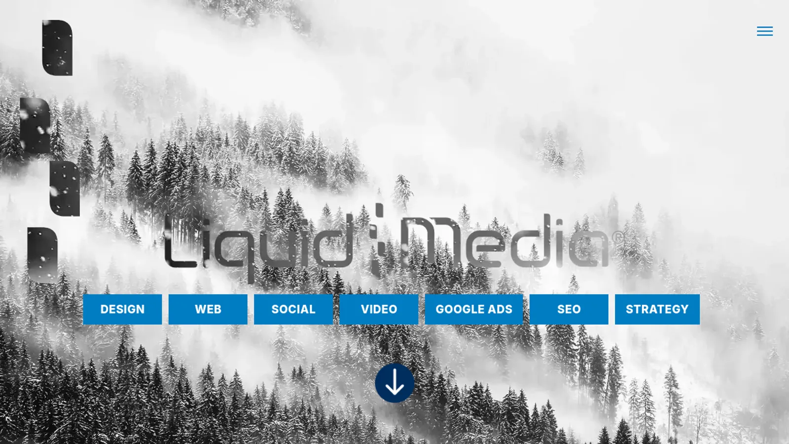 Screenshot of the Liquid Media homepage