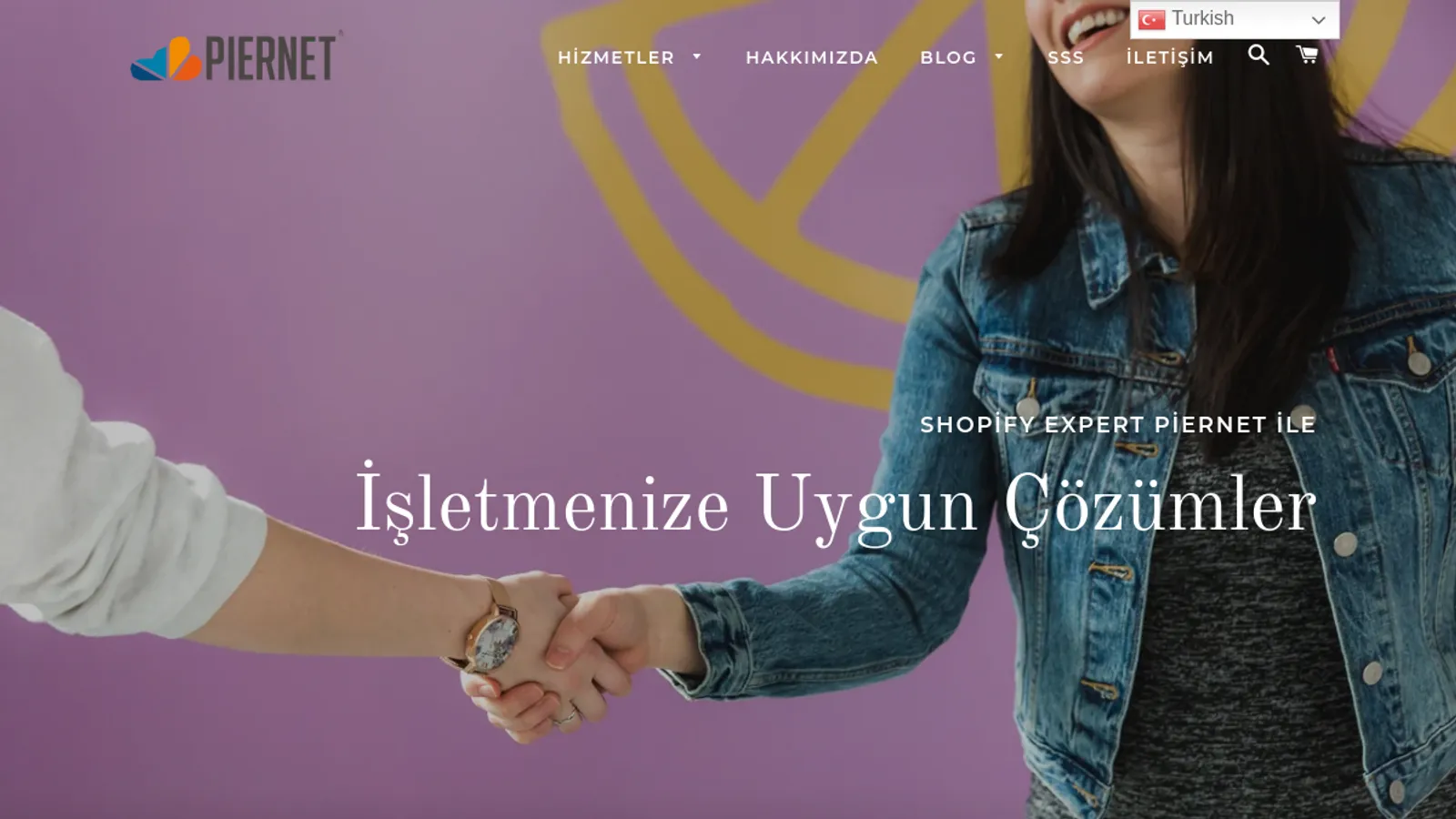 Screenshot of the Piernet homepage