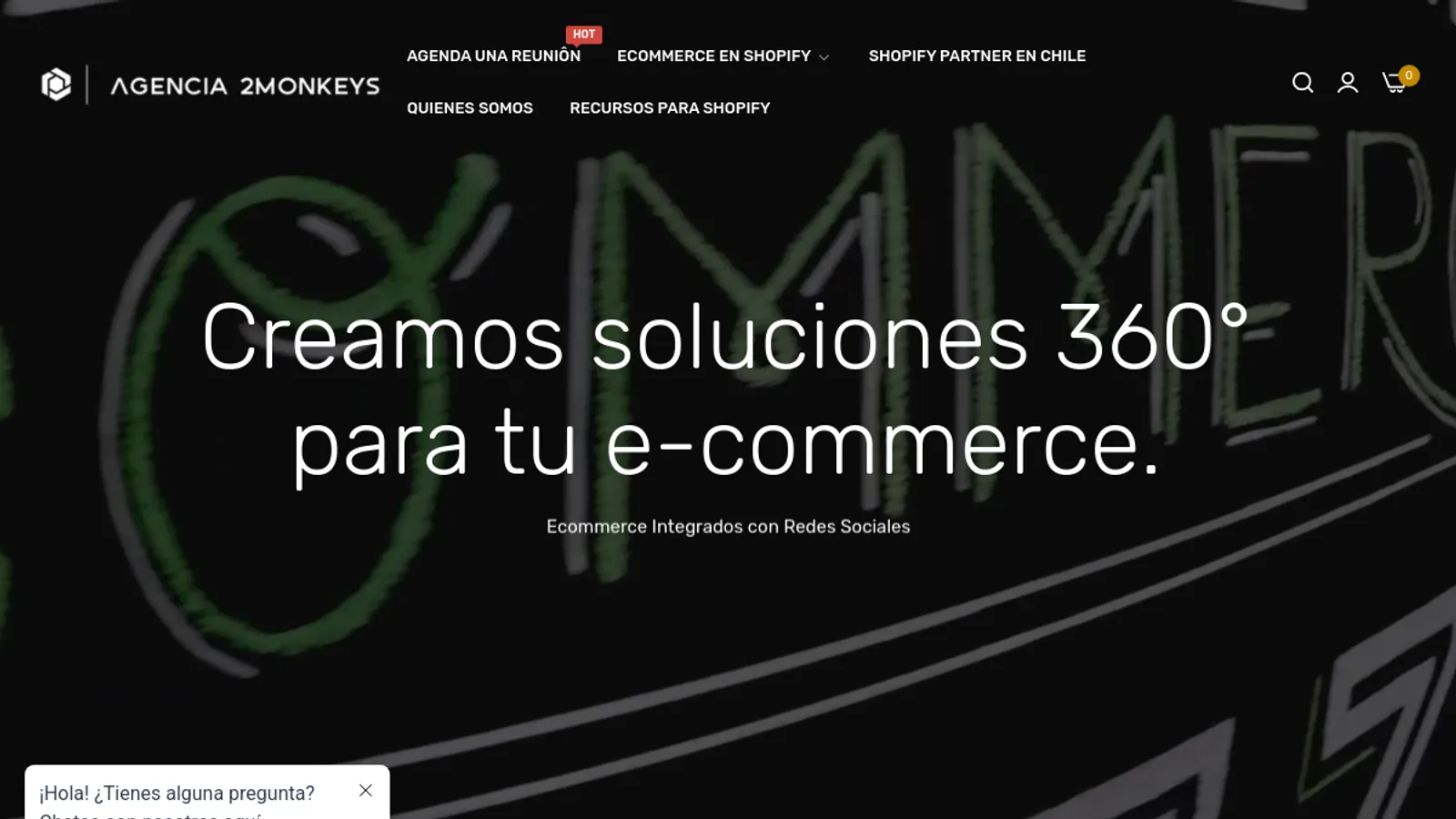 Screenshot of the 2 Monkeys Chile - Catherina Montes homepage
