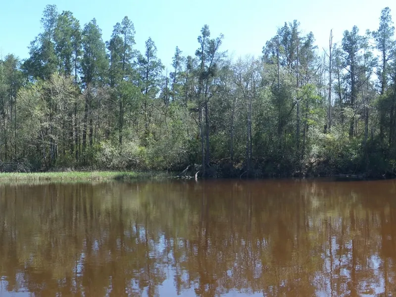 Panorama view of the Blackwater River in Blackwater River State Park.