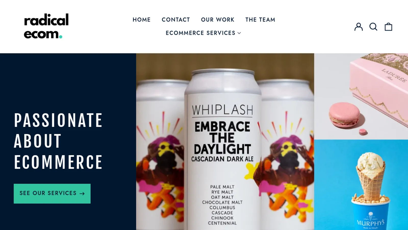 Screenshot of the radical ecom homepage
