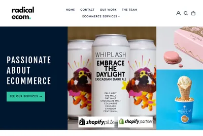 Screenshot of the radical ecom homepage
