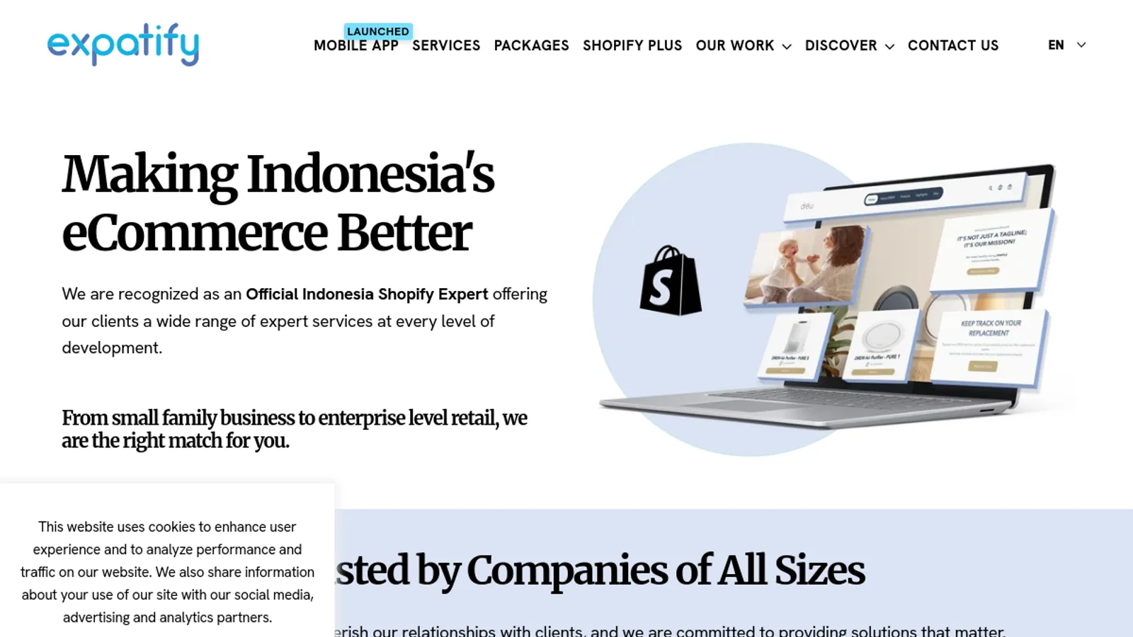Screenshot of the expatify homepage