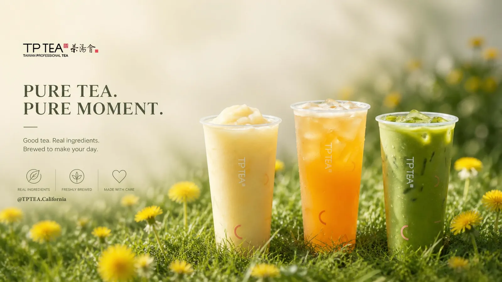 TP TEA Berryessa