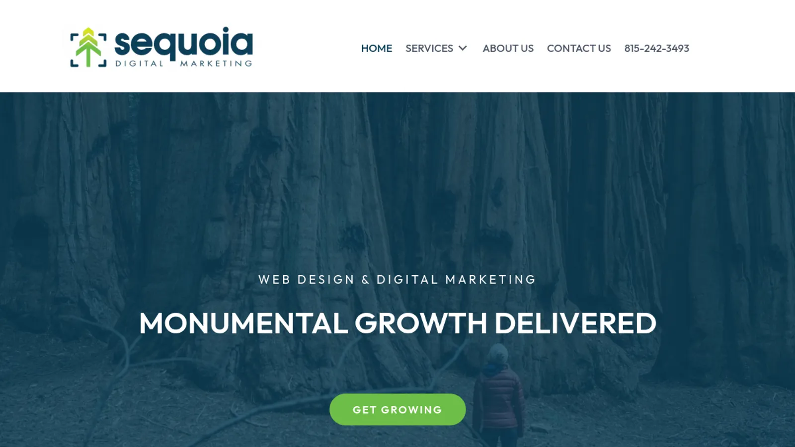 Screenshot of the Sequoia Digital Marketing homepage