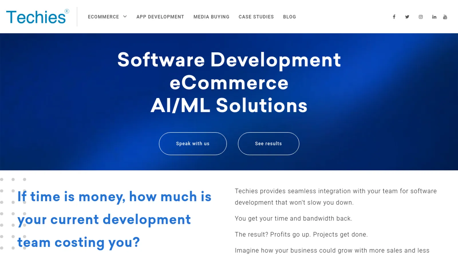 Screenshot of the Techies india inc homepage
