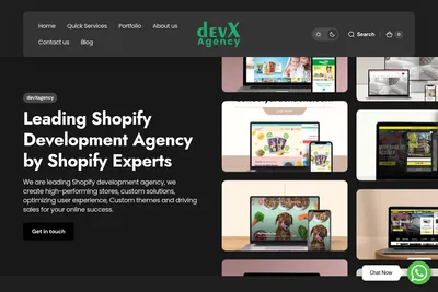 Screenshot of the devXagency homepage