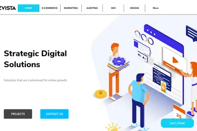 Screenshot of the Biz Vista homepage