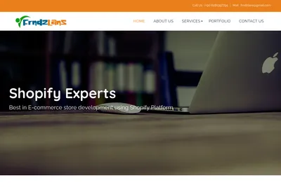 Screenshot of the FRNDZLANS E-COMMERCE SOLUTIONS homepage