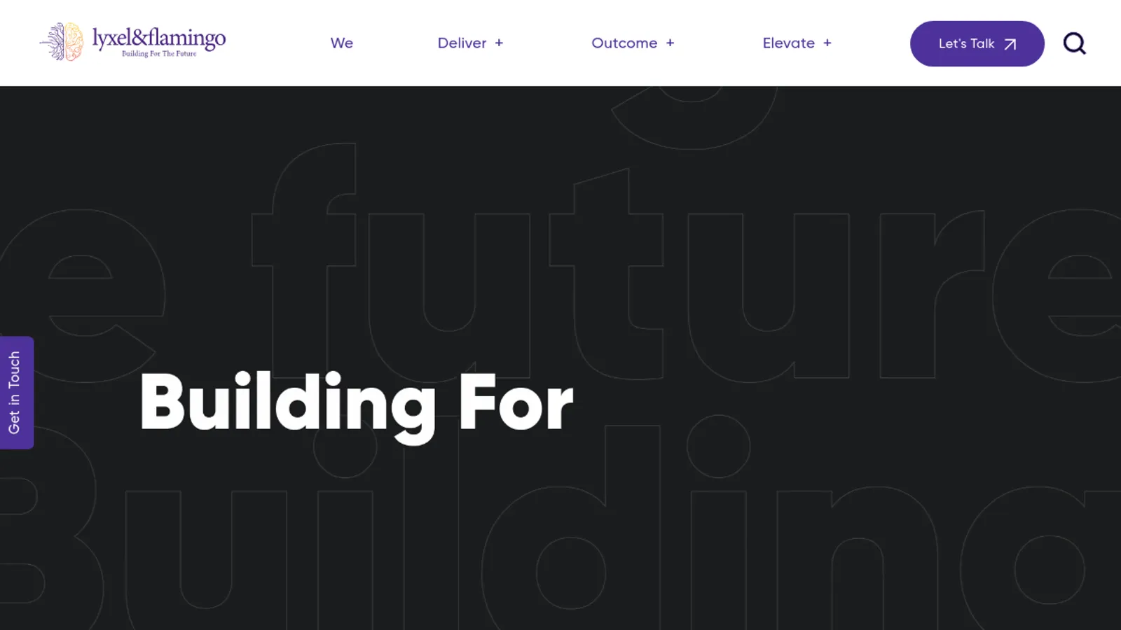 Screenshot of the Lyxel&Flamingo Pvt Ltd. homepage