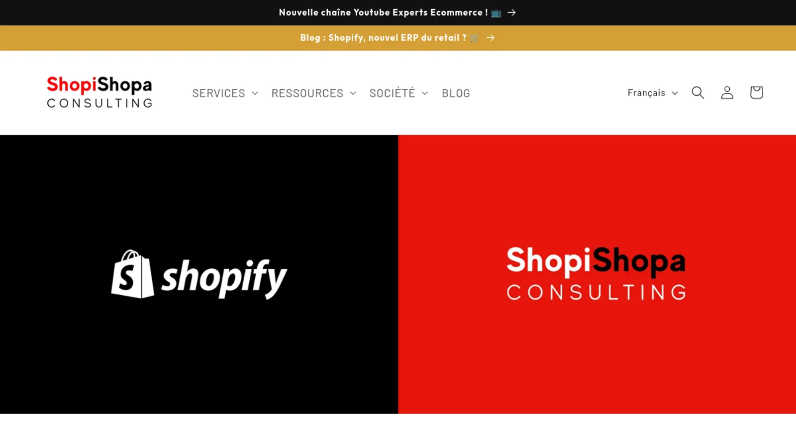 Screenshot of the ShopiShopa Consulting homepage