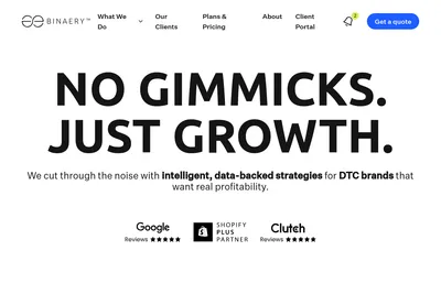 Screenshot of the Binaery homepage