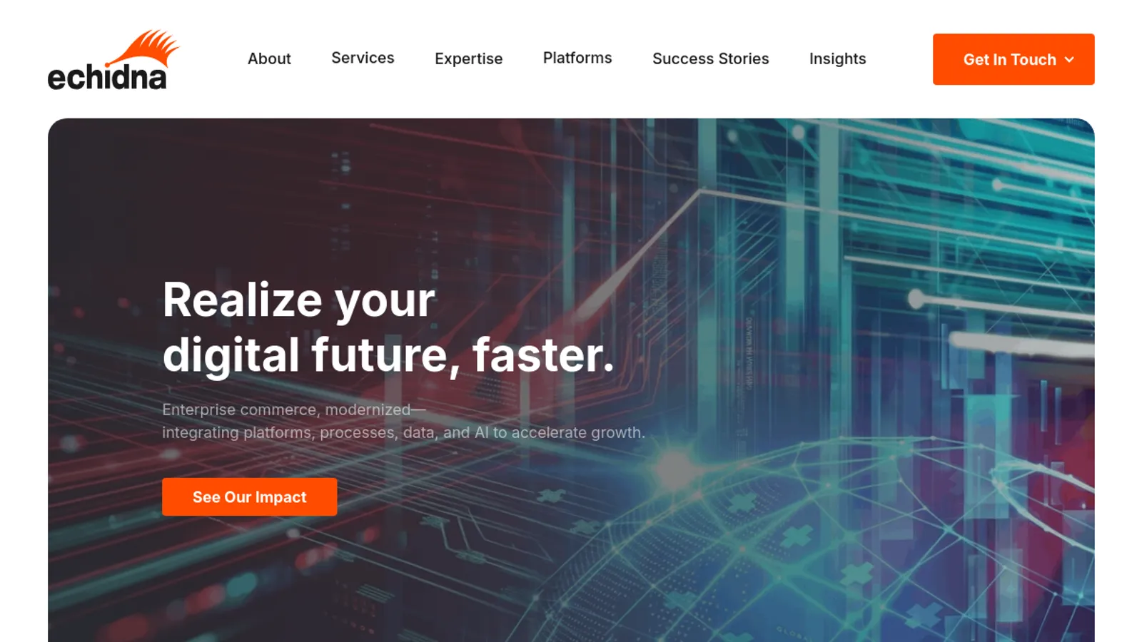 Screenshot of the Echidna, Inc. homepage