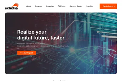 Screenshot of the Echidna, Inc. homepage
