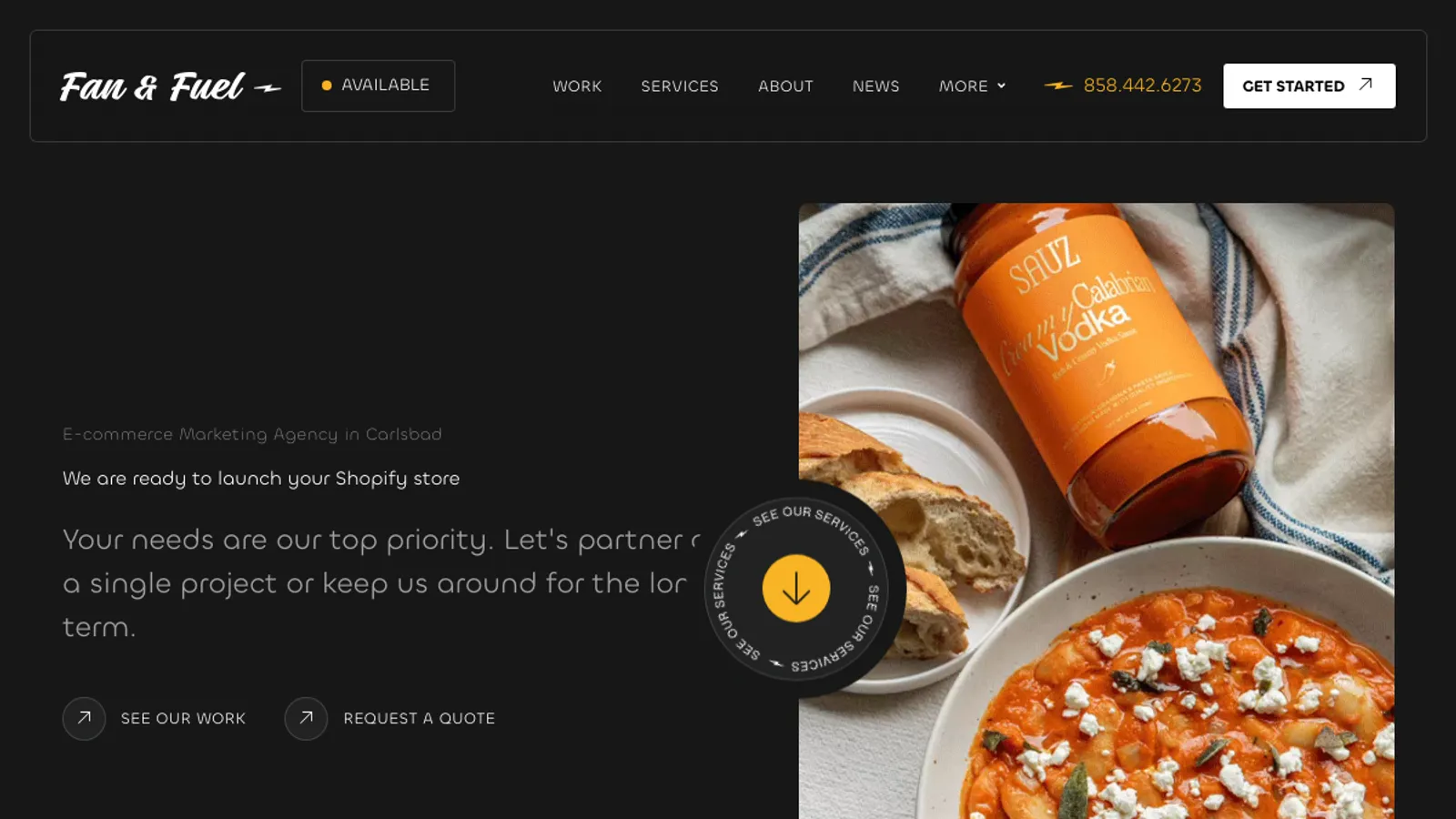 Screenshot of the Fan & Fuel homepage