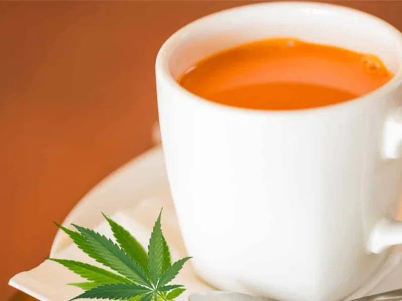 Tea Bear Teahouse - Tulsa Premium Outlet