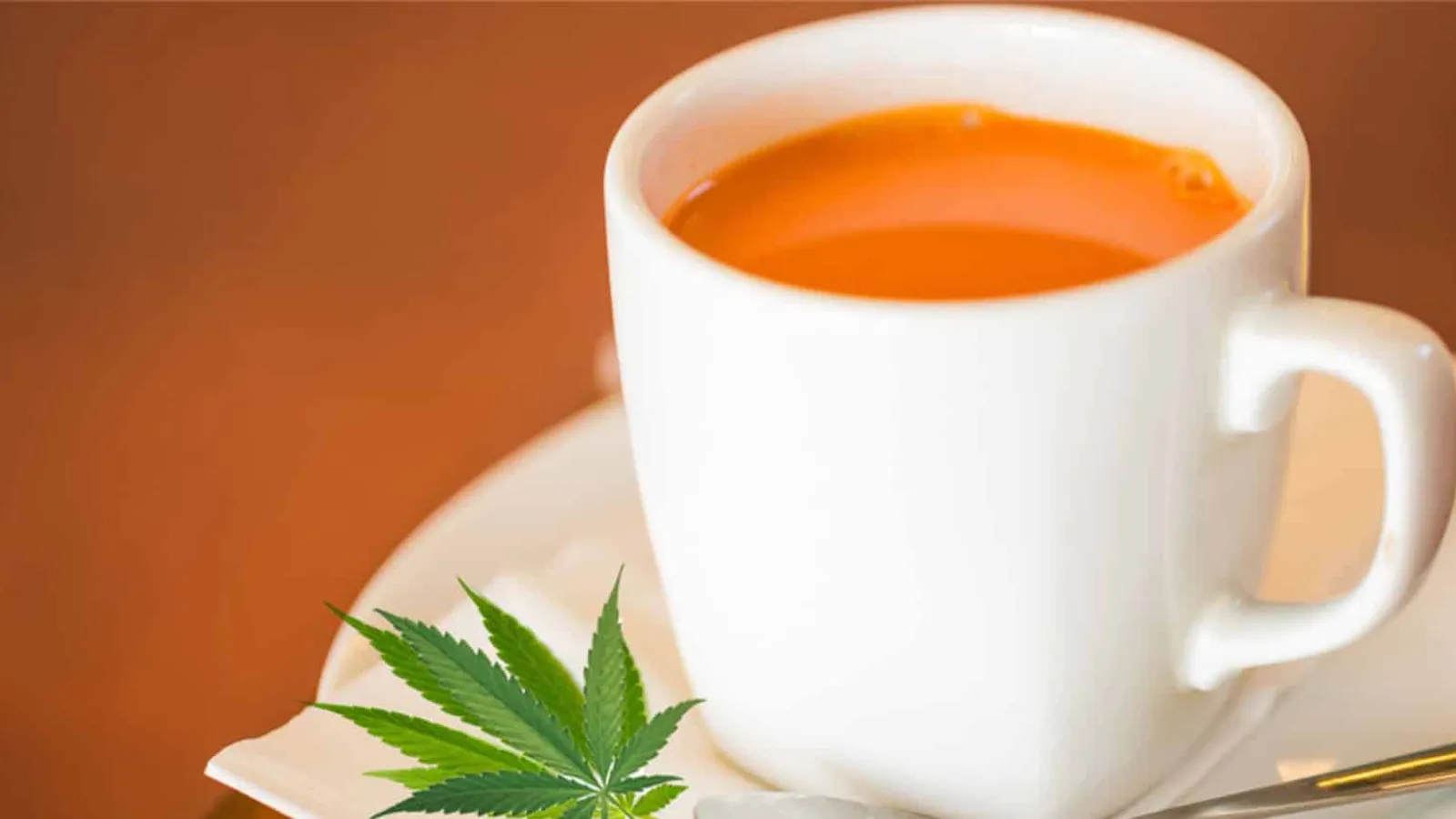 Tea Bear Teahouse - Tulsa Premium Outlet