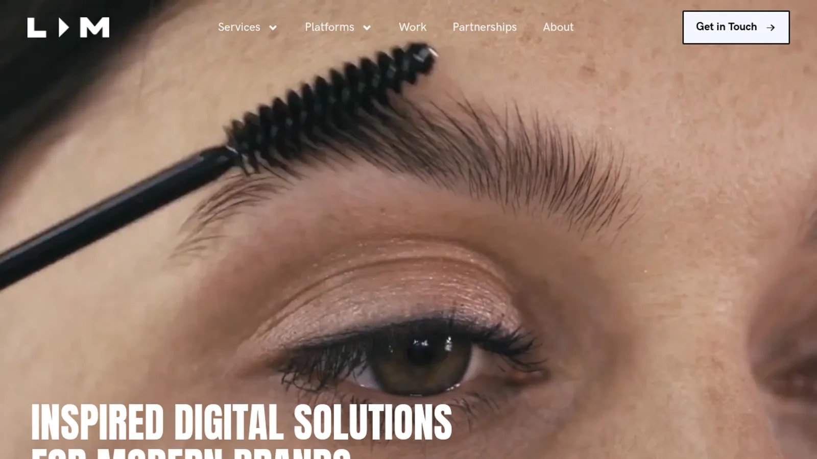 Screenshot of the LIM homepage