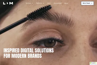 Screenshot of the LIM homepage