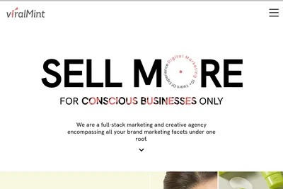 Screenshot of the Viralmint homepage