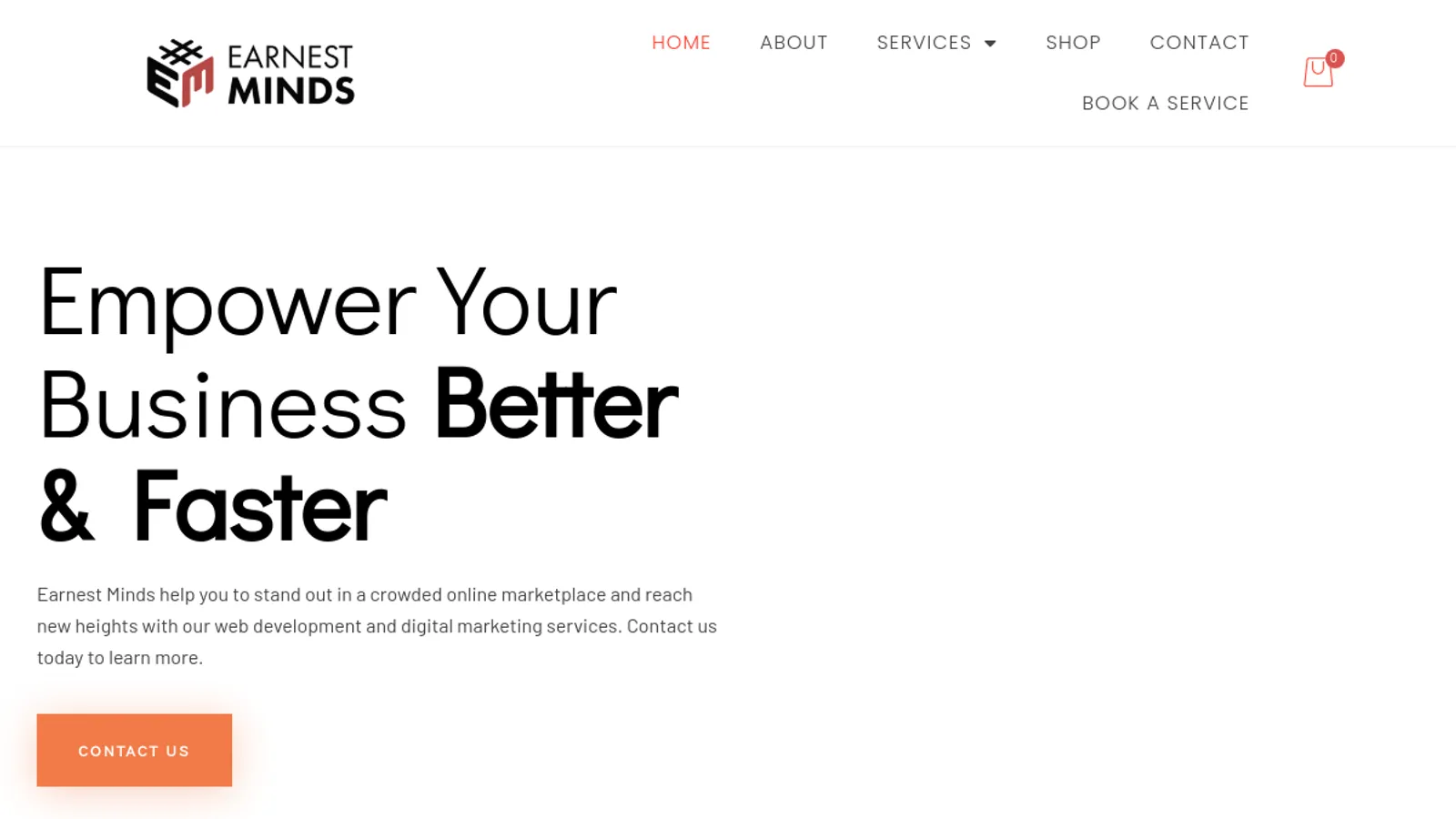 Screenshot of the Earnest Minds homepage