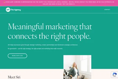 Screenshot of the Siri The Agency homepage