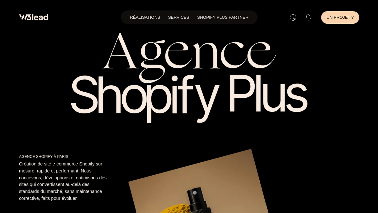 Screenshot of the W3lead homepage
