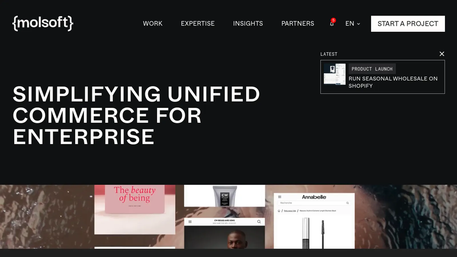 Screenshot of the Molsoft homepage