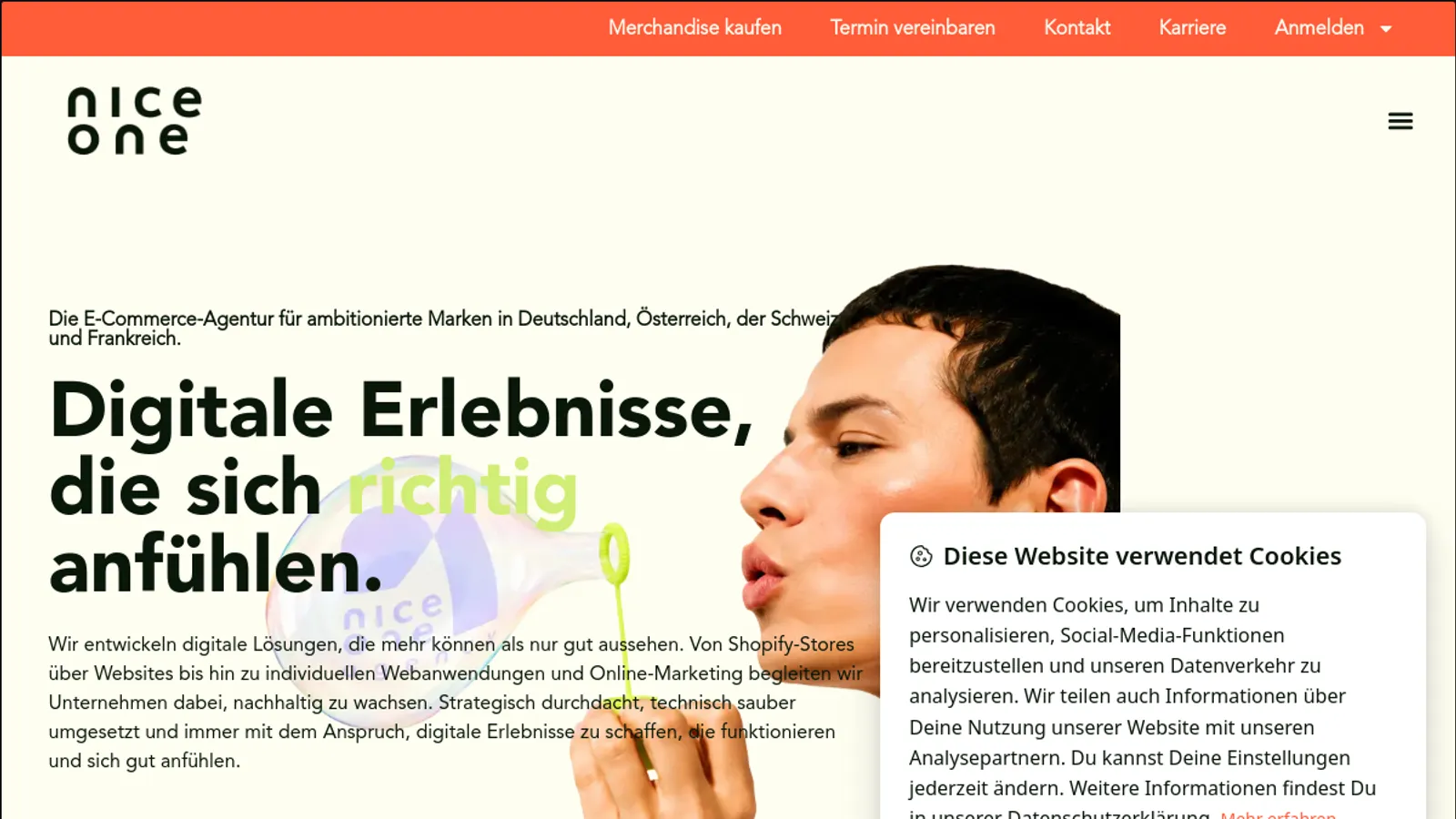 Screenshot of the nice one agency homepage