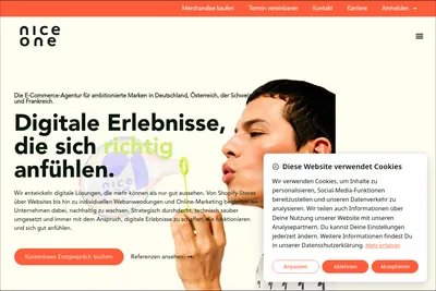 Screenshot of the nice one agency homepage