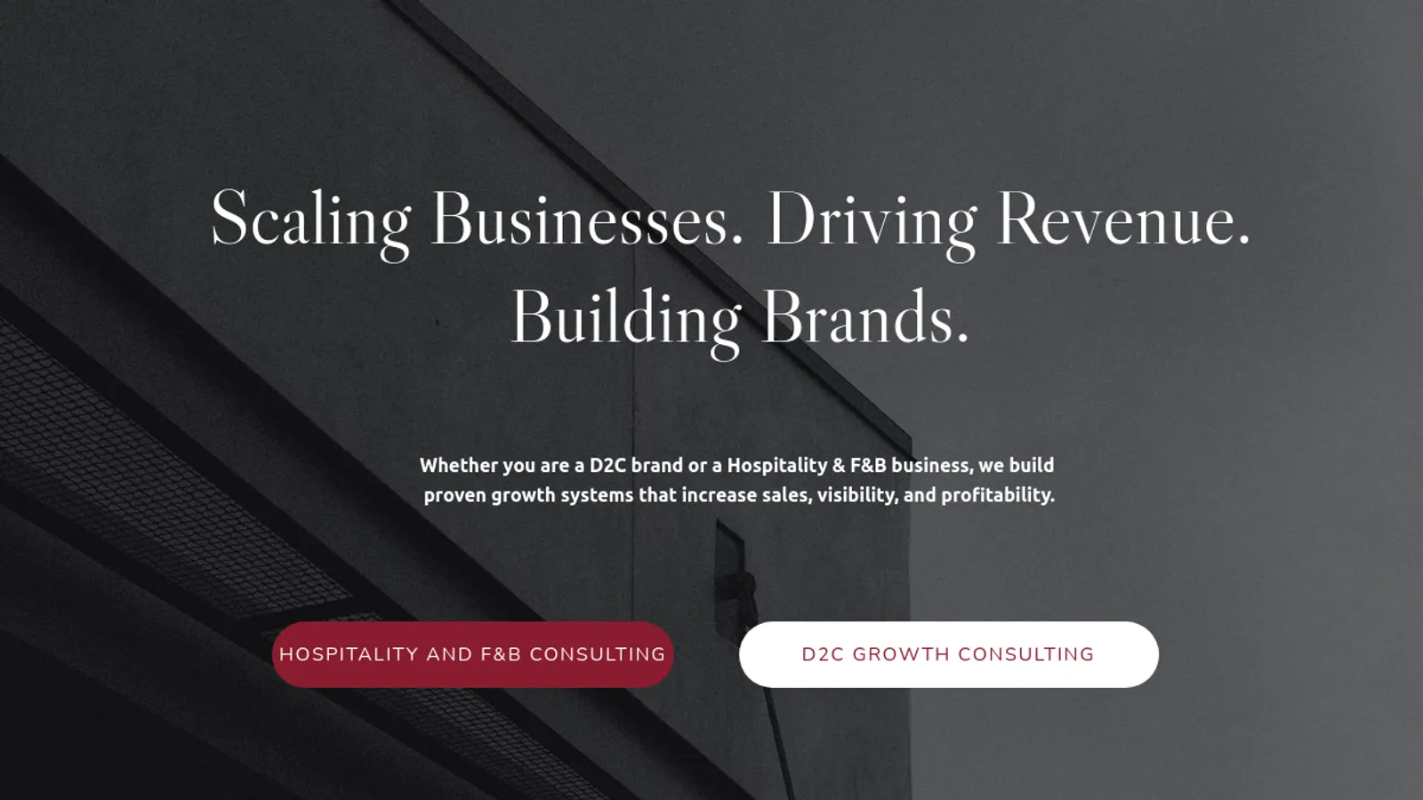 Screenshot of the Biz Consult PI homepage