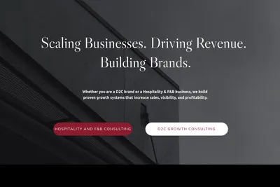 Screenshot of the Biz Consult PI homepage