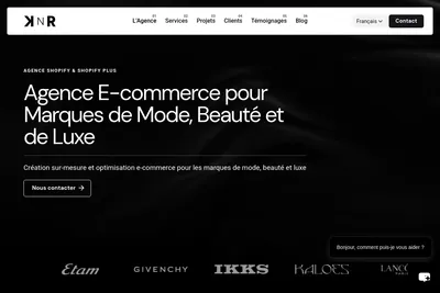 Screenshot of the KNR Agency homepage