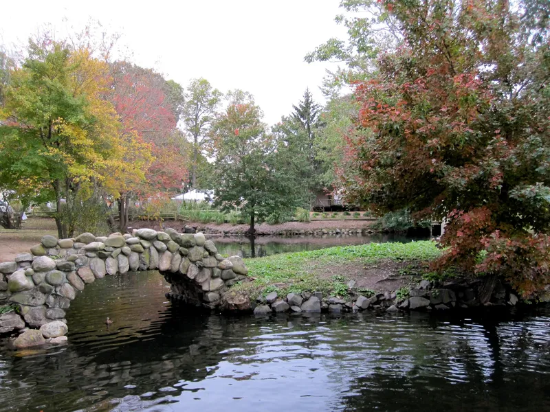 Park Photo Fall-2009