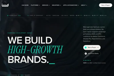 Screenshot of the IWD Agency homepage