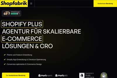 Screenshot of the Shopfabrik Berlin GmbH homepage