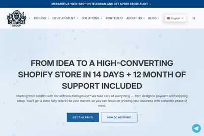 Screenshot of the IceStore Group homepage