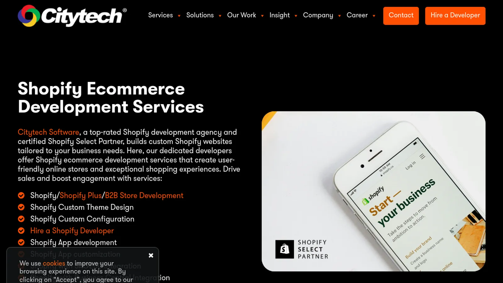 Screenshot of the Citytech Software homepage