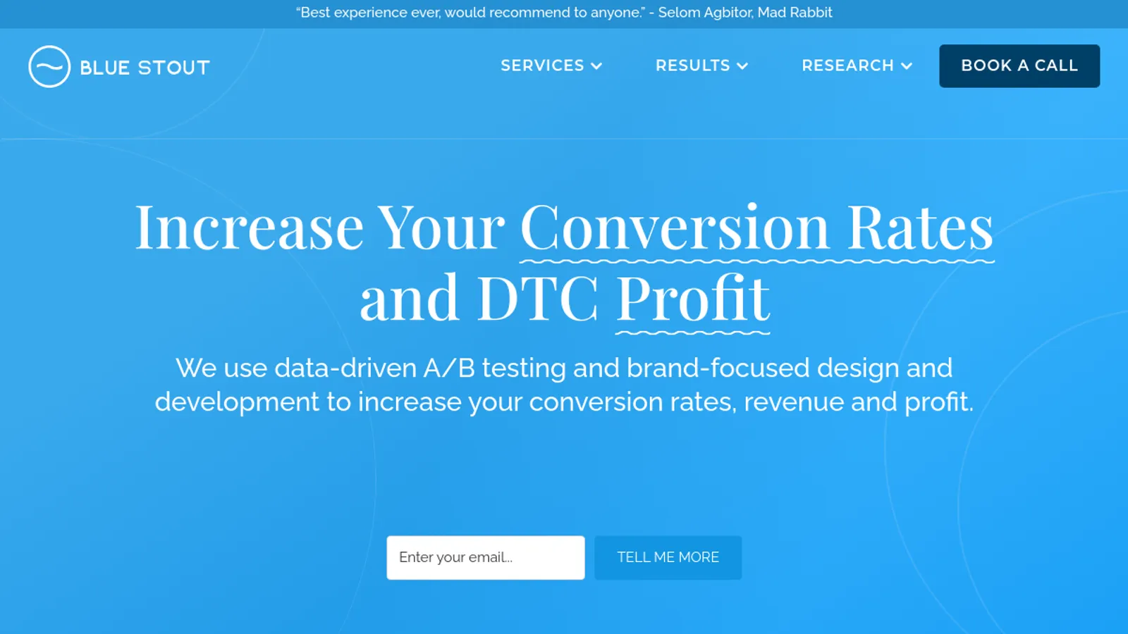 Screenshot of the Blue Stout homepage