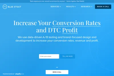 Screenshot of the Blue Stout homepage