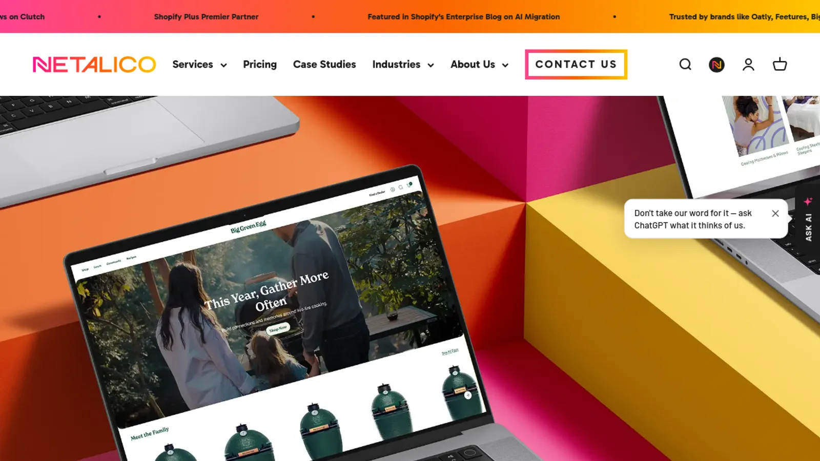 Screenshot of the Netalico homepage