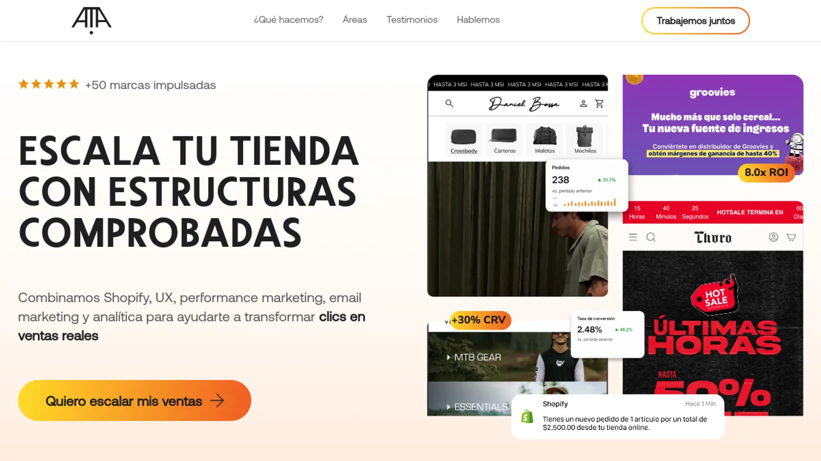 Screenshot of the Amatora homepage