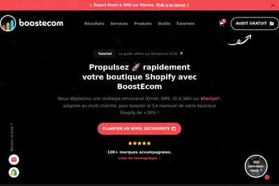 Screenshot of the BoostEcom Agency homepage