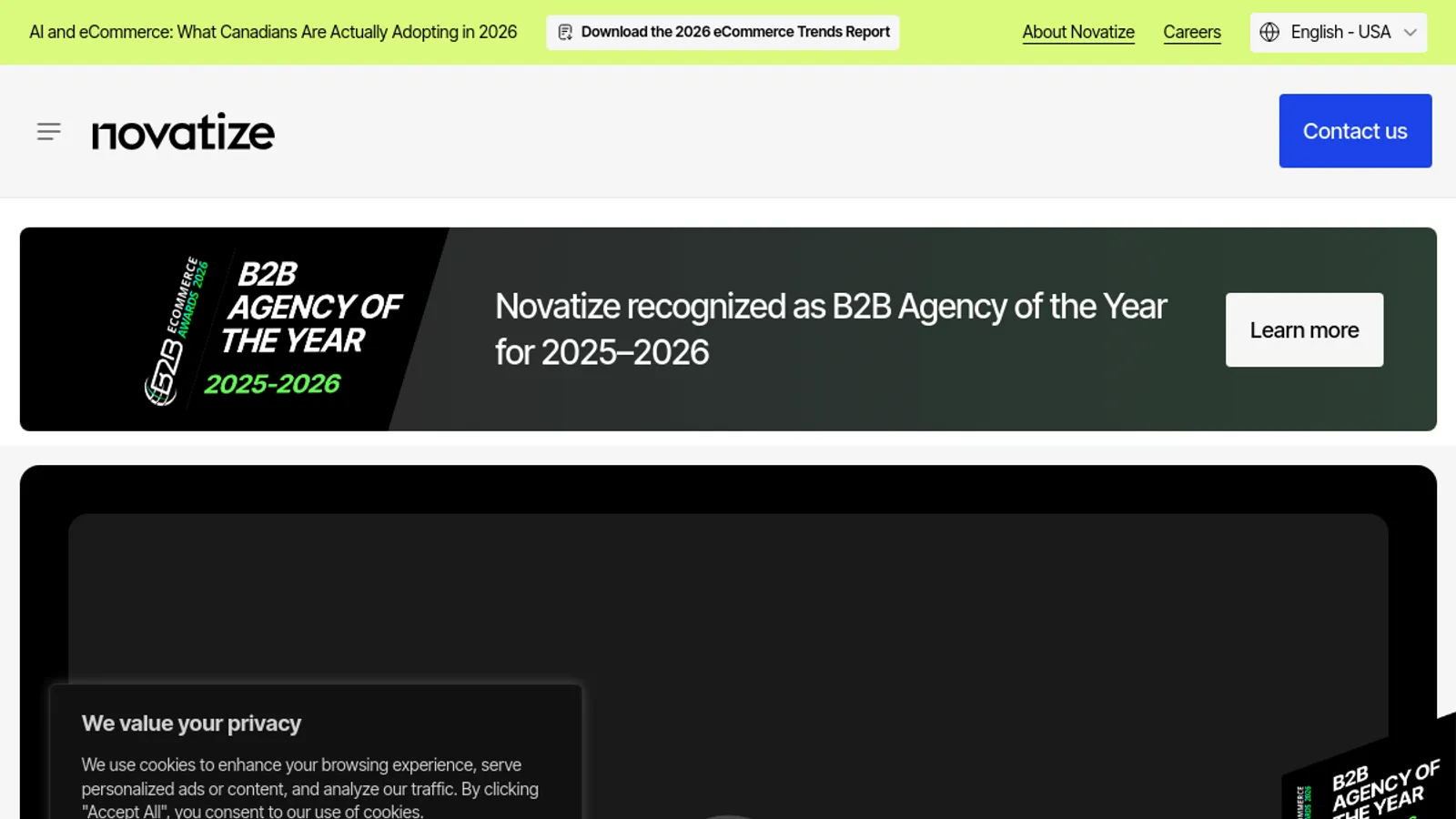 Screenshot of the Novatize Inc. homepage